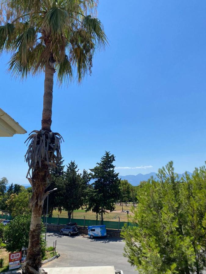 Denizim Villa & Apartments 안탈리아 외부 사진
